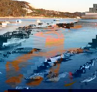 Adventure Moreton Island Wrecks Adventure Package - Accommodation QLD