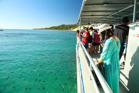 Adventure Moreton Island Wrecks Adventure Package - Accommodation QLD 1