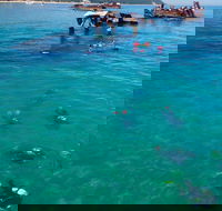 Adventure Moreton Island Scuba Dive Tour - Accommodation QLD