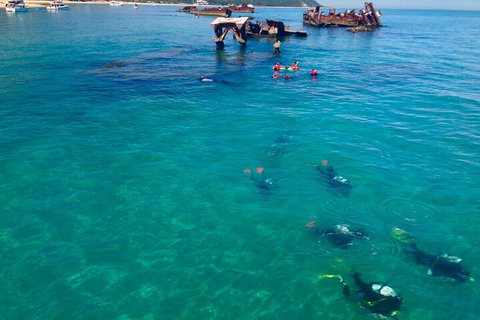 Adventure Moreton Island Scuba Dive Tour - Accommodation QLD 0