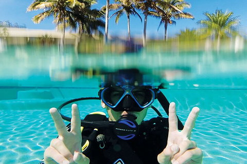 Adventure Moreton Island Scuba Dive Tour - Accommodation QLD 2