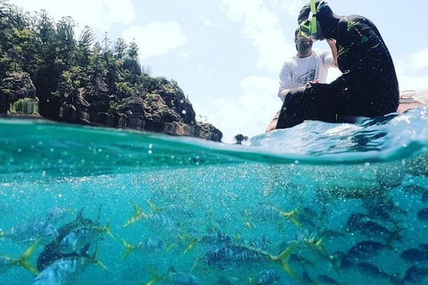 2 Night Small Group Whitsundays Sailing Adventure Aboard Mandrake - Accommodation QLD 5