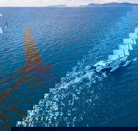 2-Night Whitsunday Islands Sailing Adventure on Trimaran Avatar - Accommodation QLD