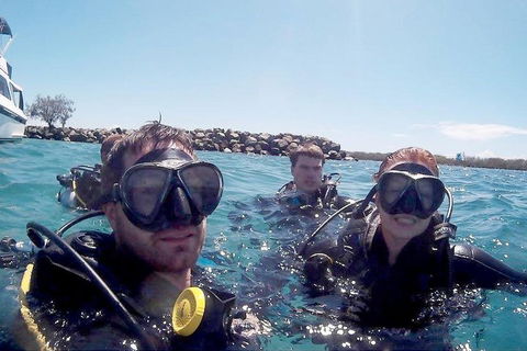Wave Break Island Scuba Diving On The Gold Coast - Accommodation QLD 0