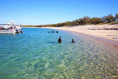 Wave Break Island Scuba Diving On The Gold Coast - Accommodation QLD 4