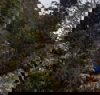 kunanyi / Mt. Wellington Guided Hiking Tour - Accommodation QLD