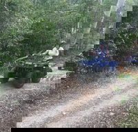 Cairns ATV Adventure Tour and Morning Train - Accommodation QLD