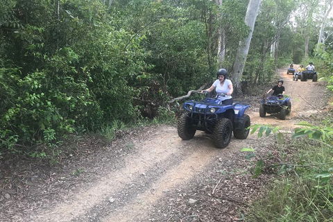 Cairns ATV Adventure Tour And Morning Train - Accommodation QLD 0