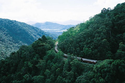 Cairns ATV Adventure Tour And Morning Train - Accommodation QLD 3