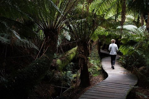Private Tour Of Melbourne - Accommodation QLD 2