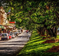 Fully Inclusive Blue Mountains Private Tour inc Scenic World  Featherdale entry - Accommodation QLD