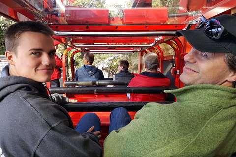 Fully Inclusive Blue Mountains Private Tour Inc Scenic World & Featherdale Entry - Accommodation QLD 1