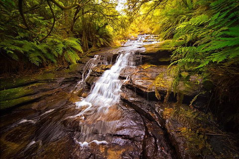 Fully Inclusive Blue Mountains Private Tour Inc Scenic World & Featherdale Entry - Accommodation QLD 3