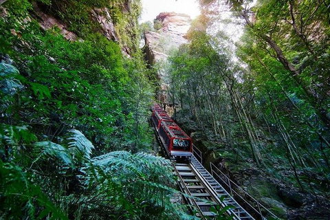 Fully Inclusive Blue Mountains Private Tour Inc Scenic World & Featherdale Entry - Accommodation QLD 4