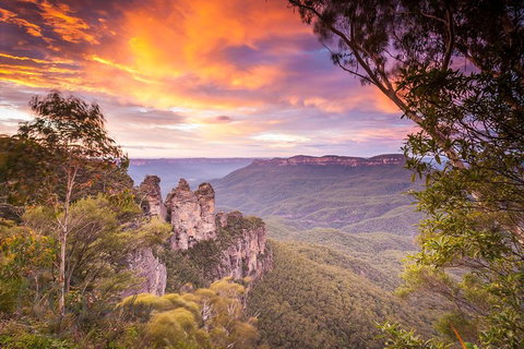 Fully Inclusive Blue Mountains Private Tour Inc Scenic World & Featherdale Entry - Accommodation QLD 5