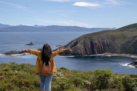 Full-Day Guided Bruny Island Tour From Hobart - Accommodation QLD 3