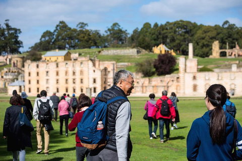 Port Arthur Express Shuttle - Accommodation QLD 4