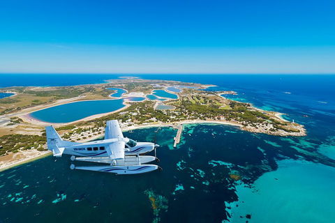 Full Day Tour By Seaplane To Rottnest Island Small Group Trip - Accommodation QLD 1