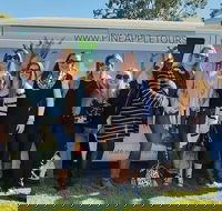Full Day Mount Tamborine Winery Tour from Gold Coast - Accommodation QLD