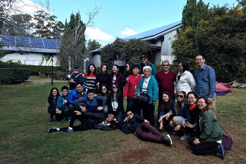 Full Day Mount Tamborine Winery Tour From Brisbane - Accommodation QLD 2