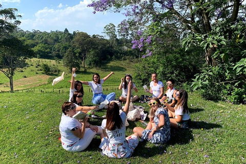 Full Day Mount Tamborine Winery Tour From Brisbane - Accommodation QLD 4