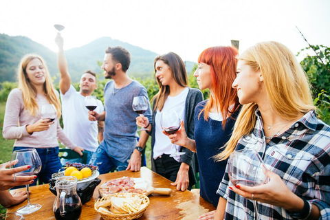 Full Day Mount Tamborine Winery Tour From Brisbane - Accommodation QLD 5