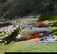 Mt Tamborine - Hinterland Wonders Self Guided - Accommodation QLD