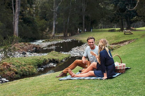 Mt Tamborine - Hinterland Wonders Self Guided - Accommodation QLD 0