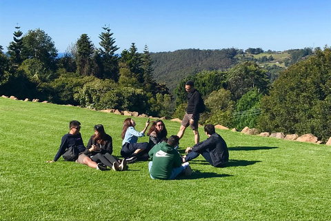 Mt Tamborine - Hinterland Wonders Self Guided - Accommodation QLD 1