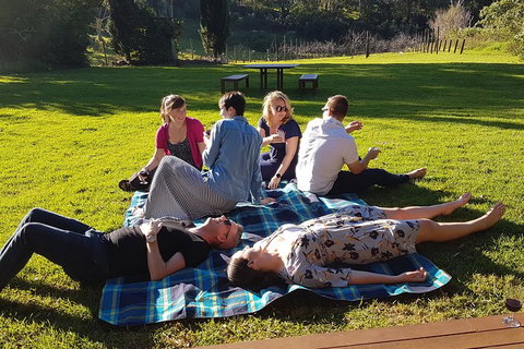 Mt Tamborine - Hinterland Wonders Self Guided - Accommodation QLD 2