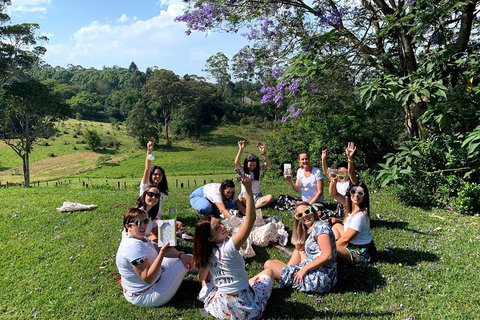 Mt Tamborine - Hinterland Wonders Self Guided - Accommodation QLD 5