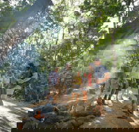 Mossman Gorge Adventure Day - Accommodation QLD