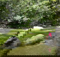 Daintree Dreaming Traditional Aboriginal Fishing from Cairns or Port Douglas - Accommodation QLD