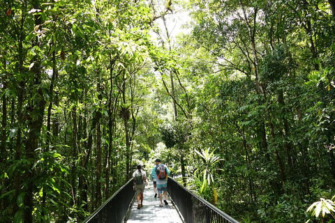 Daintree Dreaming Traditional Aboriginal Fishing From Cairns Or Port Douglas - Accommodation QLD 3