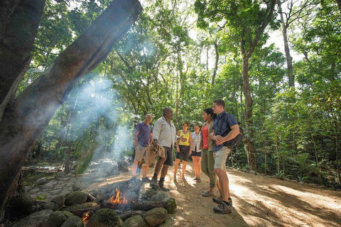 Daintree Dreaming Traditional Aboriginal Fishing From Cairns Or Port Douglas - Accommodation QLD 5