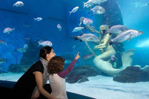 SEA LIFE Melbourne Aquarium Admission Ticket - Accommodation QLD 4