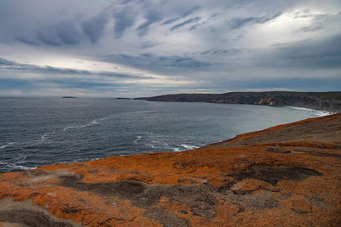 Kangaroo Island Luxury Small Group 'Flinders Chase Focus' Full Day Tour - Accommodation QLD 0