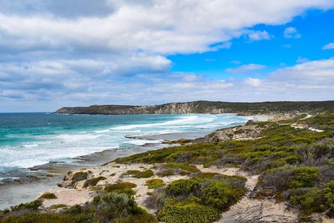 Kangaroo Island Luxury Small Group 'East End Explorer' Full Day Tour - Accommodation QLD 0