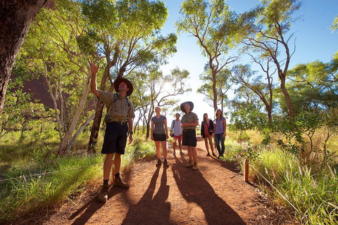 Uluru Small Group Tour Including Sunset - Accommodation QLD 0
