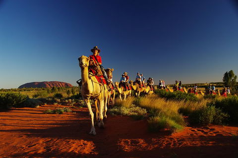 Uluru Small-Group Tour By Camel At Sunrise Or Sunset - Accommodation QLD 1