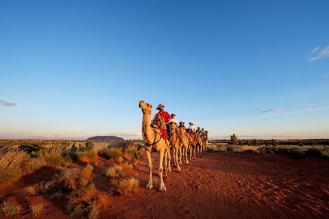 Uluru Small-Group Tour By Camel At Sunrise Or Sunset - Accommodation QLD 3
