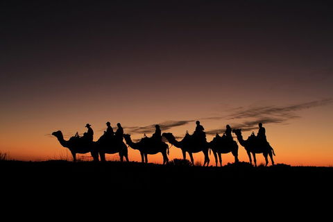 Uluru Small-Group Tour By Camel At Sunrise Or Sunset - Accommodation QLD 4