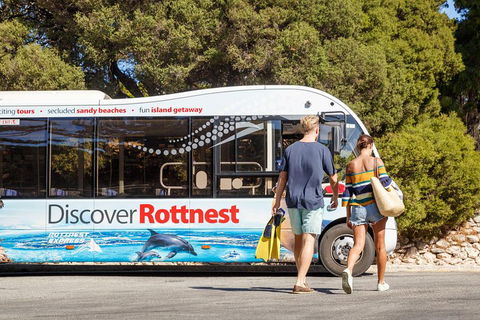 Discover Rottnest With Ferry & Bus Tour From Perth Or Fremantle - Accommodation QLD 1