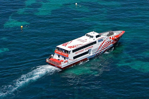 Discover Rottnest With Ferry & Bus Tour From Perth Or Fremantle - Accommodation QLD 3