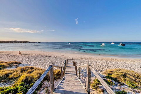Discover Rottnest With Ferry & Bus Tour From Perth Or Fremantle - Accommodation QLD 4