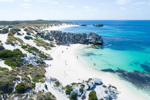 Discover Rottnest With Ferry & Bus Tour From Perth Or Fremantle - Accommodation QLD 5
