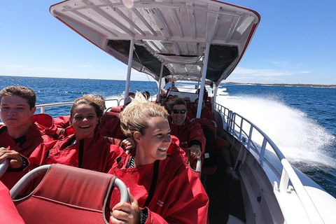 Adventure Rottnest Tour With Ferry & Adventure Cruise From Perth Or Fremantle - Accommodation QLD 0