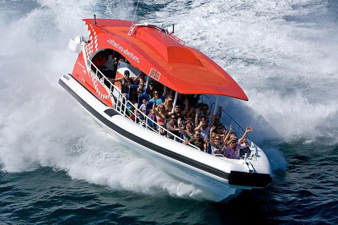 Adventure Rottnest Tour With Ferry & Adventure Cruise From Perth Or Fremantle - Accommodation QLD 2