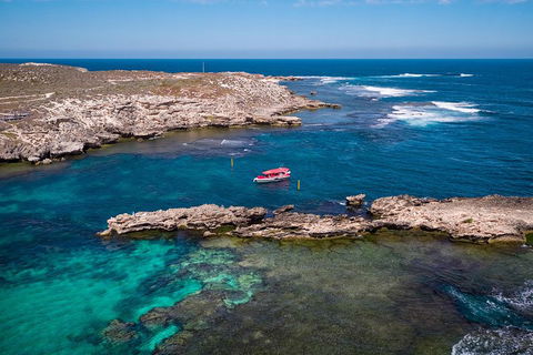 Adventure Rottnest Tour With Ferry & Adventure Cruise From Perth Or Fremantle - Accommodation QLD 3