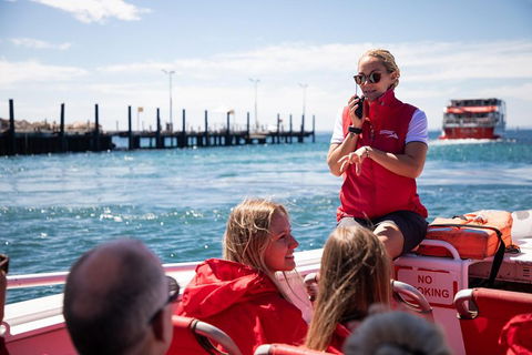 Adventure Rottnest Tour With Ferry & Adventure Cruise From Perth Or Fremantle - Accommodation QLD 4